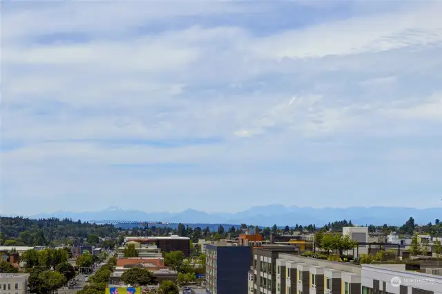 View from Roof top deck