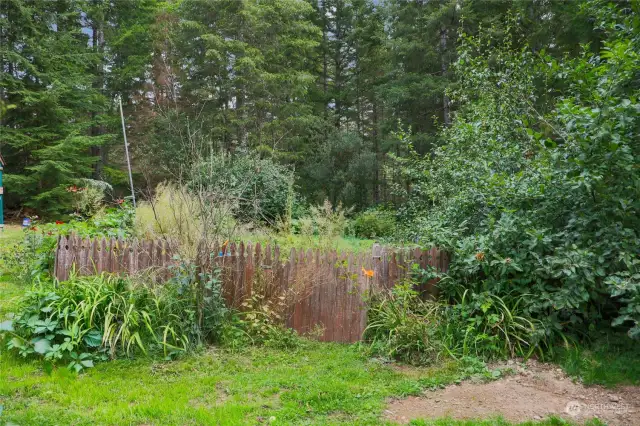 Garden area