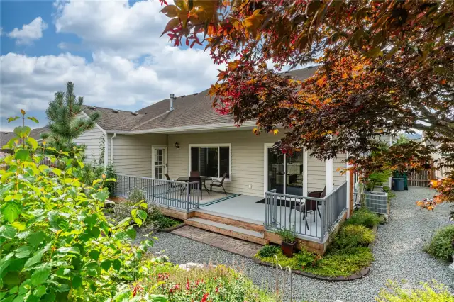 Beautiful backyard area with some special low water plants, trees and shrubs! A gardener's delight!