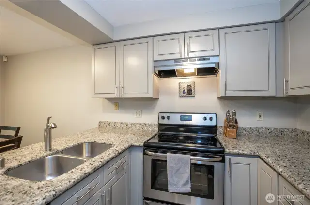Stunning solid granite countertops add elegance and durability to the kitchen.
