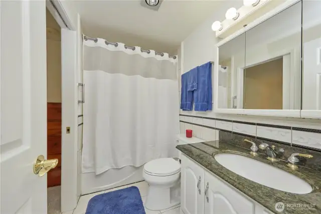 Full bath with updated features