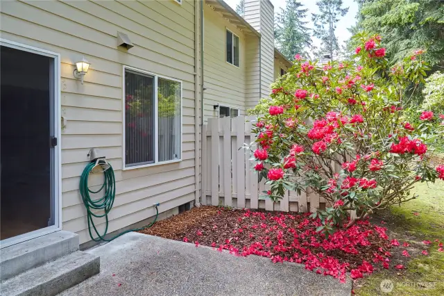 Back yard private space for barbequing or just sitting around relaxing