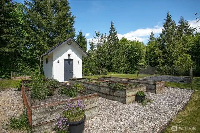 Garden area