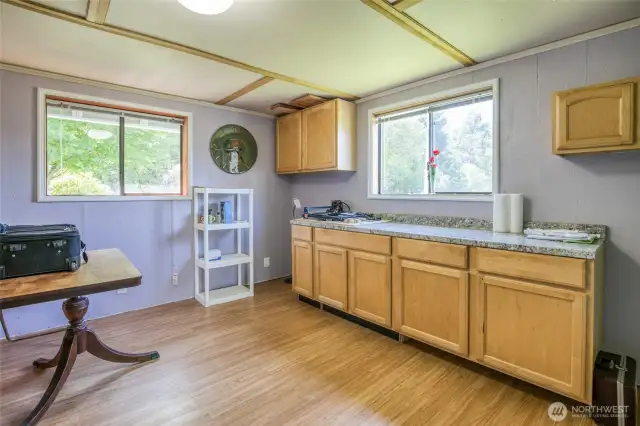Lower Level Bedroom/Bonus Room