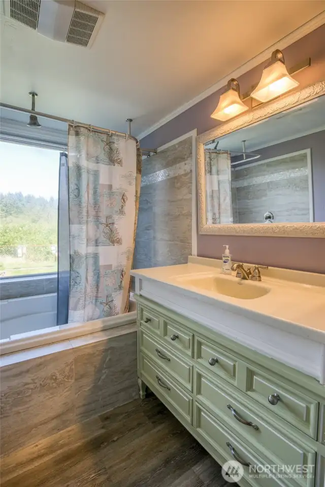 Lower Level Bathroom