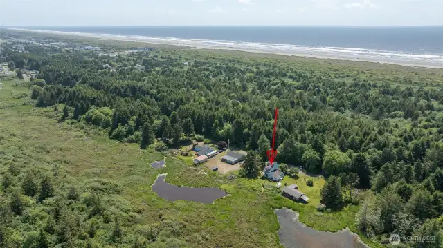 Close to the Beach
