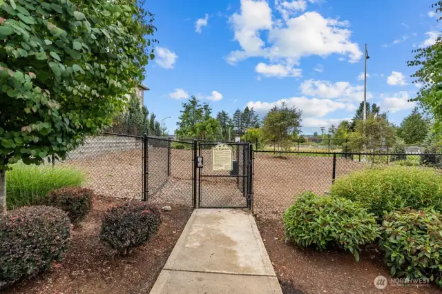 dog run