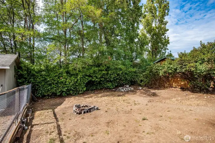 Backyard.