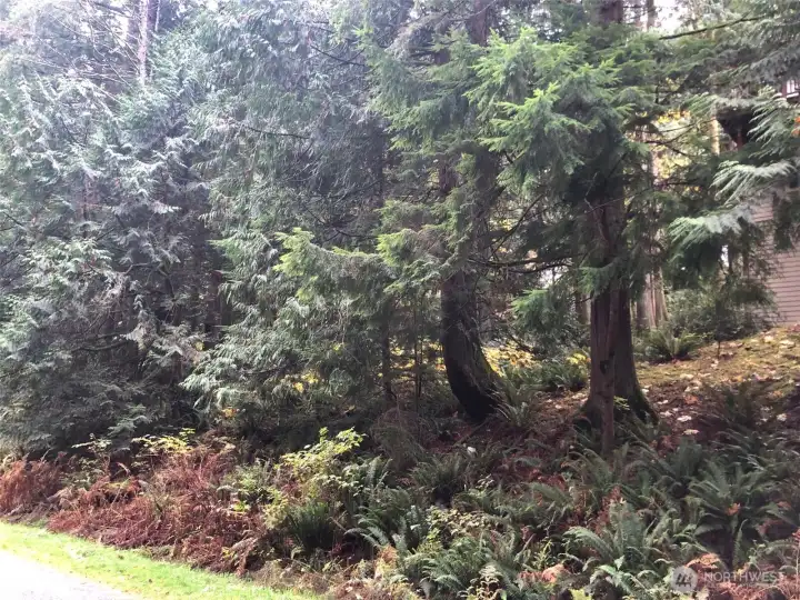 5 Shetland Ct. from below off of Tumbling Water Dr. - Gentle Access to a wonderful building site.