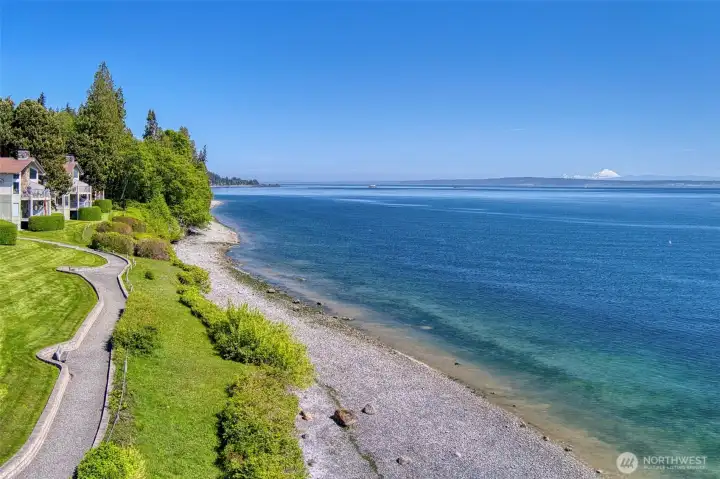 Trails along the beach.