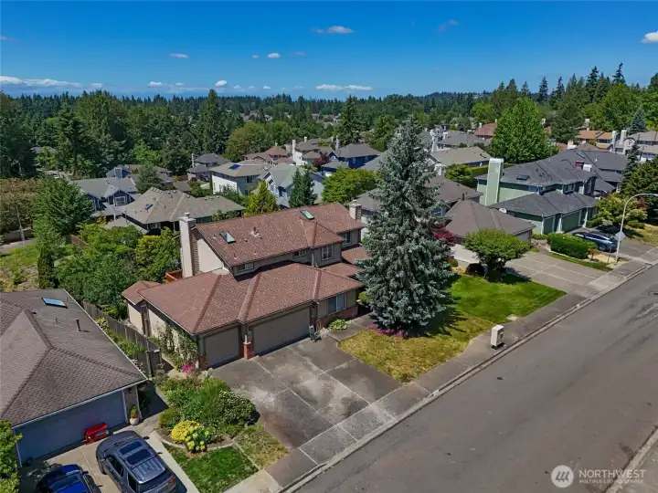 Quiet Summerwind street aerial perspective Quiet Summerwind street aerial perspective