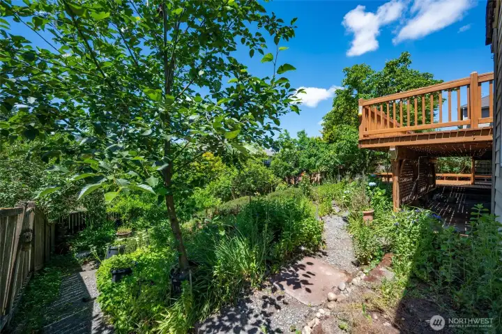 Fruit trees and patio below the deck with access to the huge storage crawlspace Fruit trees and patio below the deck with access to the huge storage crawlspace