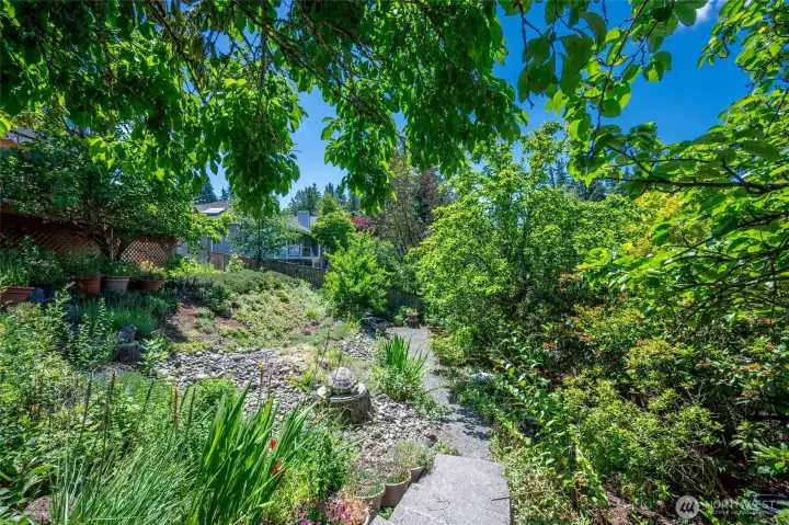 Backyard landscaping with fruit trees and walking paths Backyard landscaping with fruit trees and walking paths