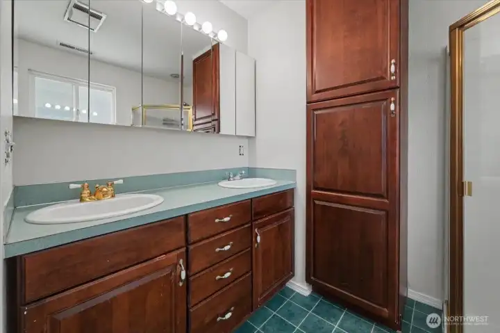 Primary bathroom main-level.