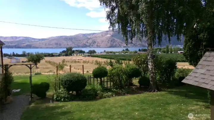 Backyard View
