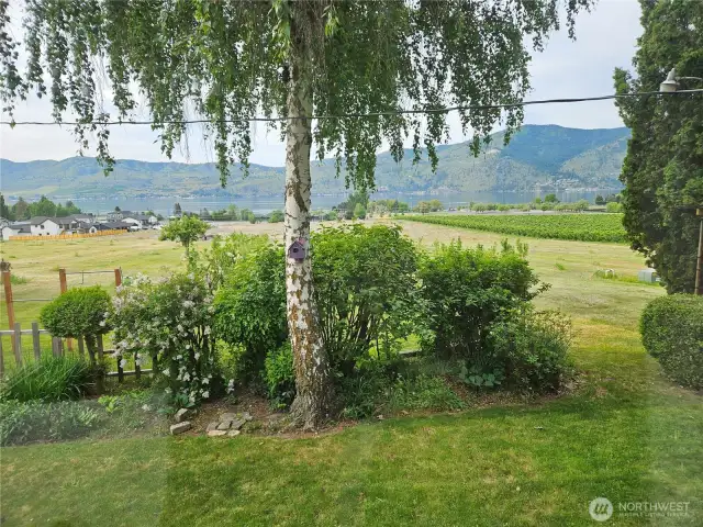 View from the house