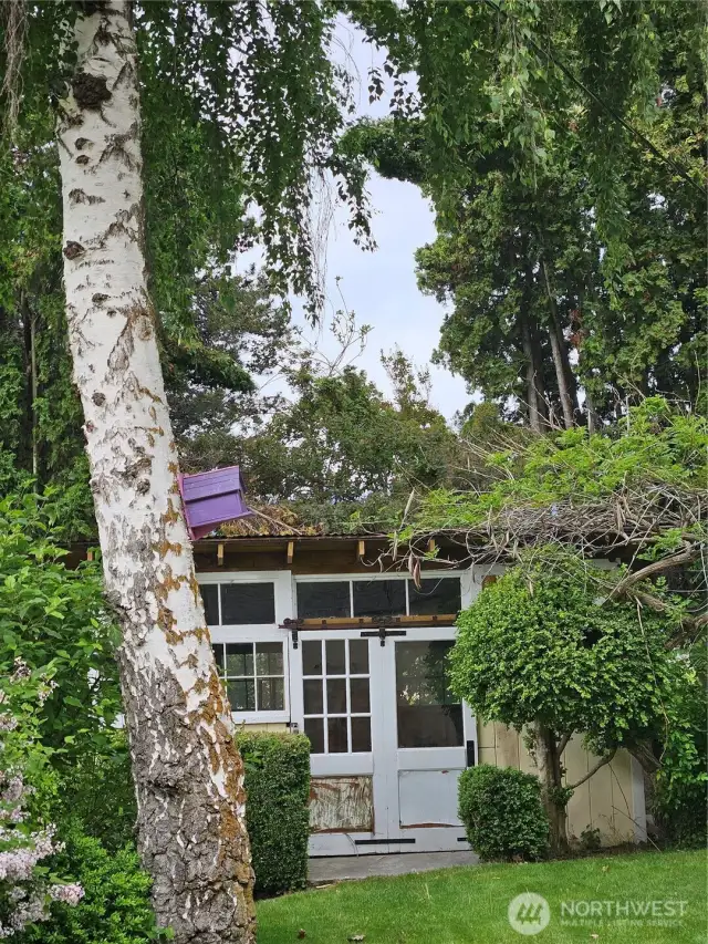 Garden shed