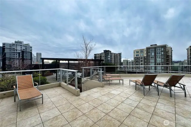 Soak in the sun & enjoy the views on the lounge chairs from the new rooftop deck.