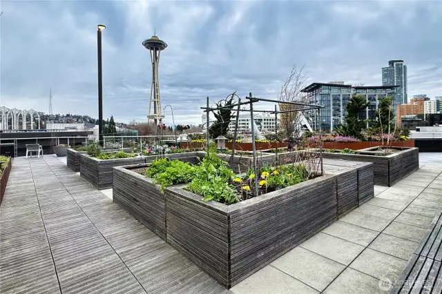 Check out the new gardens on the new rooftop deck.
