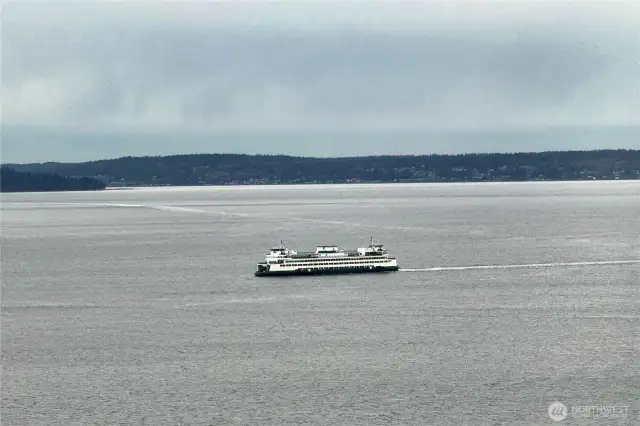 Salt water sound views from both the rooftop deck and the NW corner home, the best of both worlds.