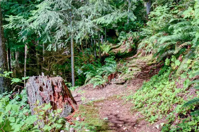1.19 acre lot for hiking and exploration.