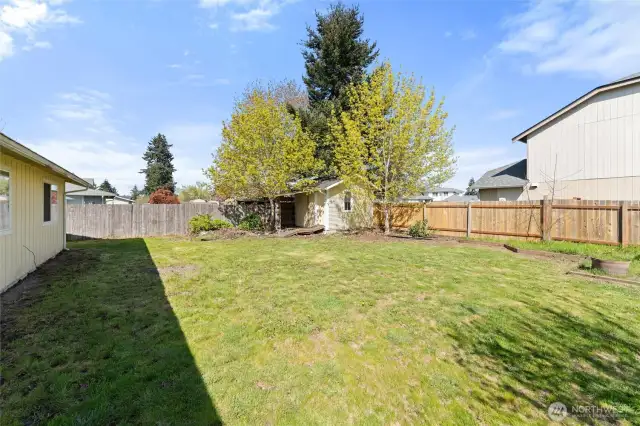 Spacious fenced backyard with room to entertain or garden.