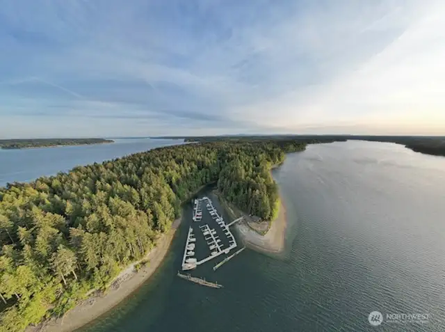 View of the 100-slip marina for Harstene Pointe.
