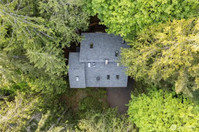Aerial view of the home nestled in the Harstene Pointe Island community. Almost zero yard maintenance with natural vegetation surroundings.