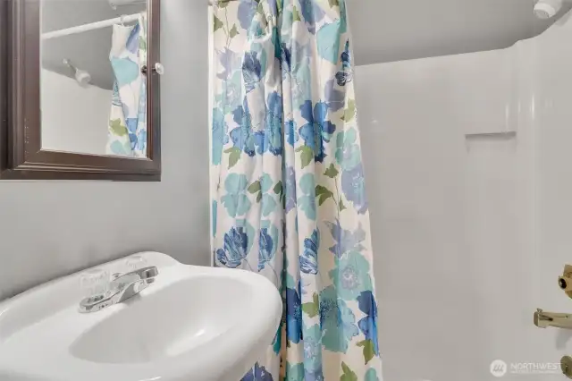 Lower level bathroom