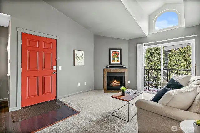 Modern and cozy living with new carpet