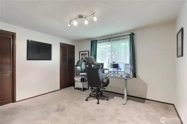 Large bedroom or den with two closets and views to the outside.