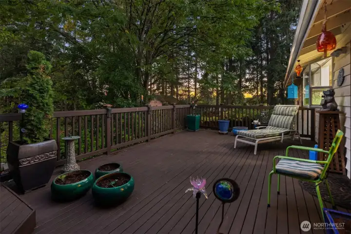 Relax in nature’s embrace from the upper deck surrounded by evergreens. Ideal for barbecues, quiet reading, or simply taking in the serene forest views.