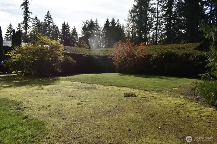 Additional parking in front of home or be creative with landscaping etc and make this an area that reflects your needs and wants. RV parking off the garage area will accommodate a 5th wheel, motor home or other vehicles. The garage is HUGE and has openers, rafter storage, built in shelving and benches for your convenience.