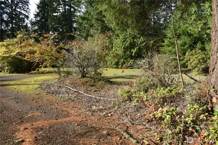 The home has a border of mature trees, plants and shrubs. Its year-round greenery!