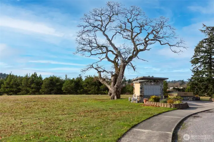 Common area mailboxes
