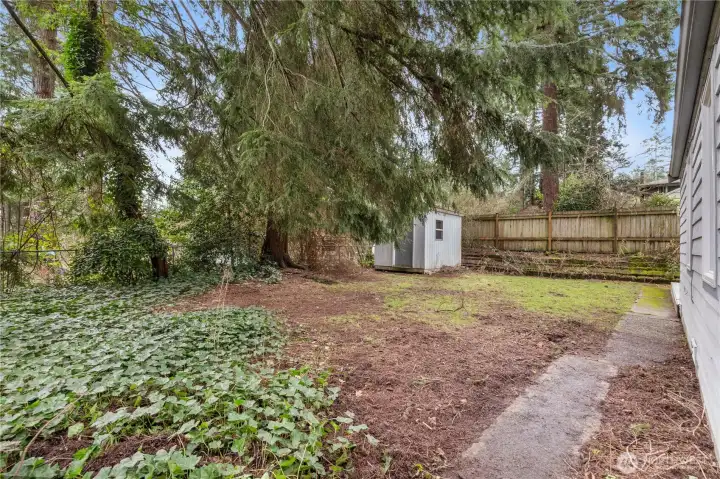 Clear the bushes and place a few DADU's