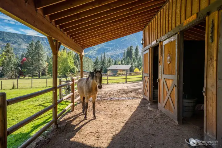 3 Stalls and Tack Room