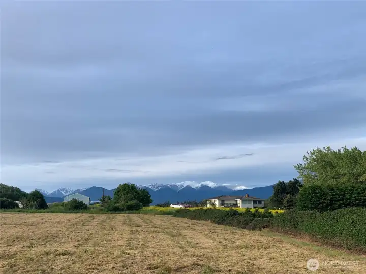 view of the Olympics to the south