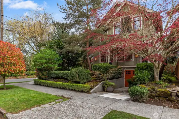 Beautiful corner lot