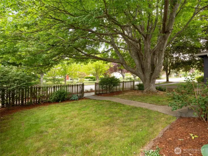 Mature landscaping all around the home draws you in with secret garden vibes and classic Seattle charm.