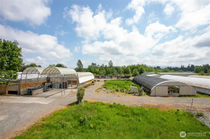 10,000 square foot of gutter connected greenhouses