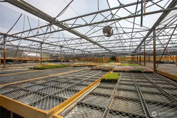 Automatic venting roofs and 10,000 square foot gutter connected greenhouses.