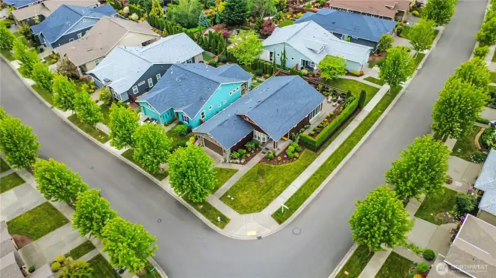 Check out our great corner lot!! Nice privacy yet situated in the heart of Mt. Adams Summit which is a sub-community, within Trilogy of Tehaleh where neighbors care, help one another, socialize together within the community as well as around greater Puget Sound.