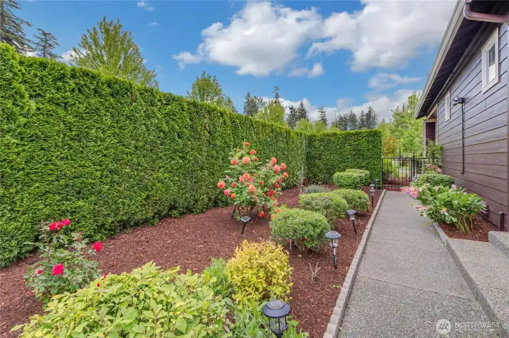 Privacy hedges are a wonderful addition to the yard, and the roses are amazing. Peonies, Azaleas and many other flowers frame this lovely home abundantly!