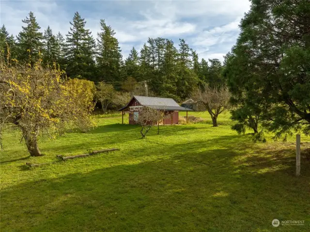 Farmstand from orchard, yurt in background