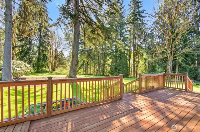 Back porch view is amazing!!!