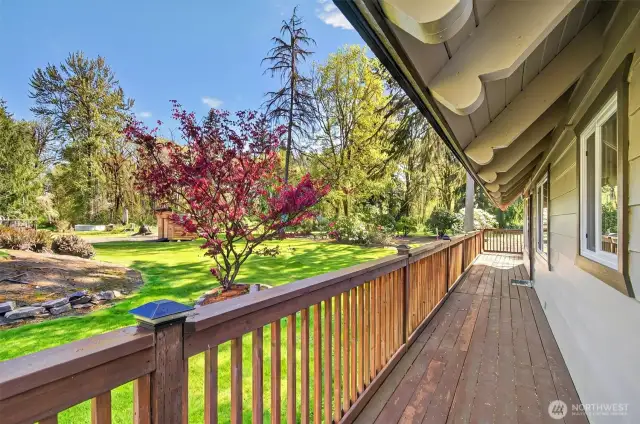 Side yard view.