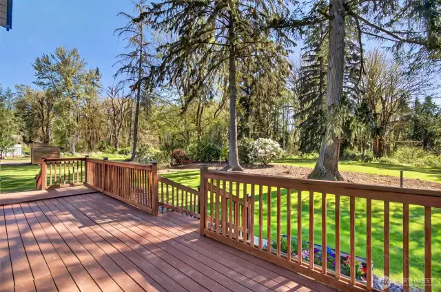 The property line is up to the Douglas fir trees.