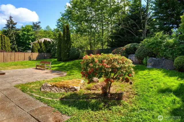 sunny fully fenced back yard, lots of space for pets and kids