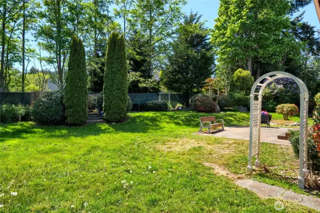 Back yard from the corner of the house